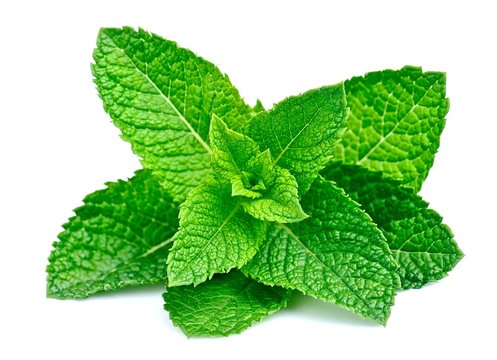 Lip Balm - Peppermint - Em&Oak