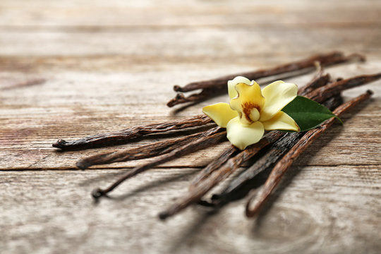 Lip Balm - Vanilla - Em&Oak